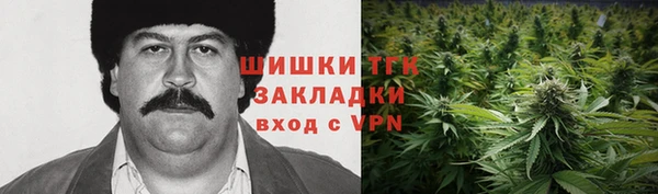 шишки Армянск