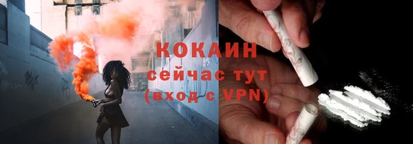 шишки Армянск