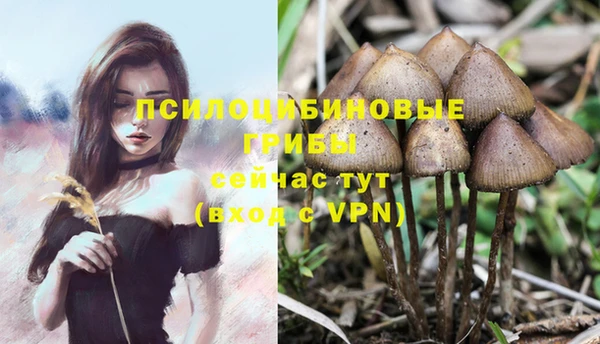 а пвп мука Алексеевка